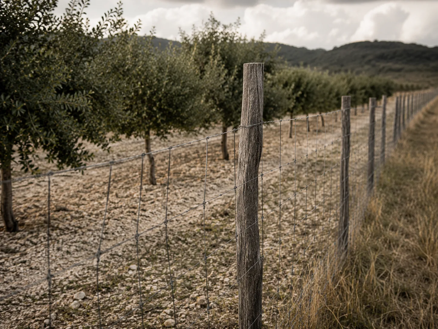 Vallado de Finca Trufera