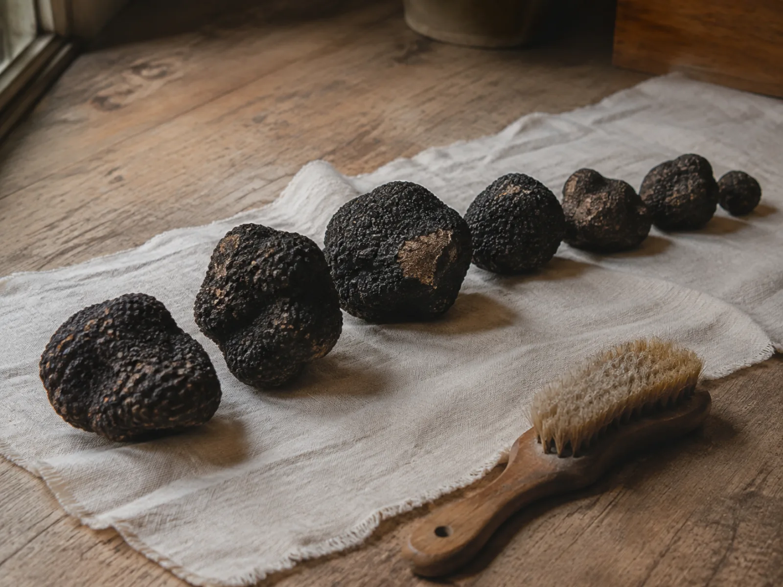 Fresh Black Truffle, in Season December to April